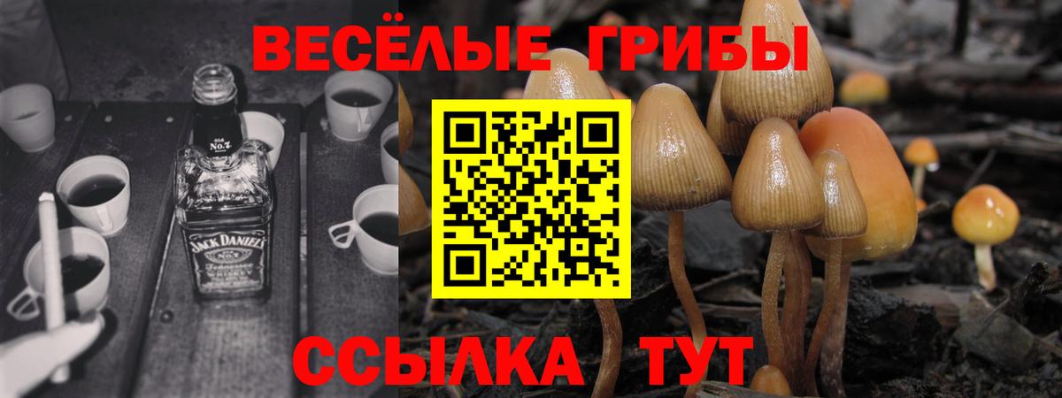 Псилоцибиновые грибы Psilocybine cubensis  Псилоцибиновые грибы Psilocybe  Вход с VPN  Волхов 
